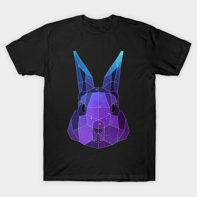 Galaxy Bunny T-Shirt by Jay Diloy